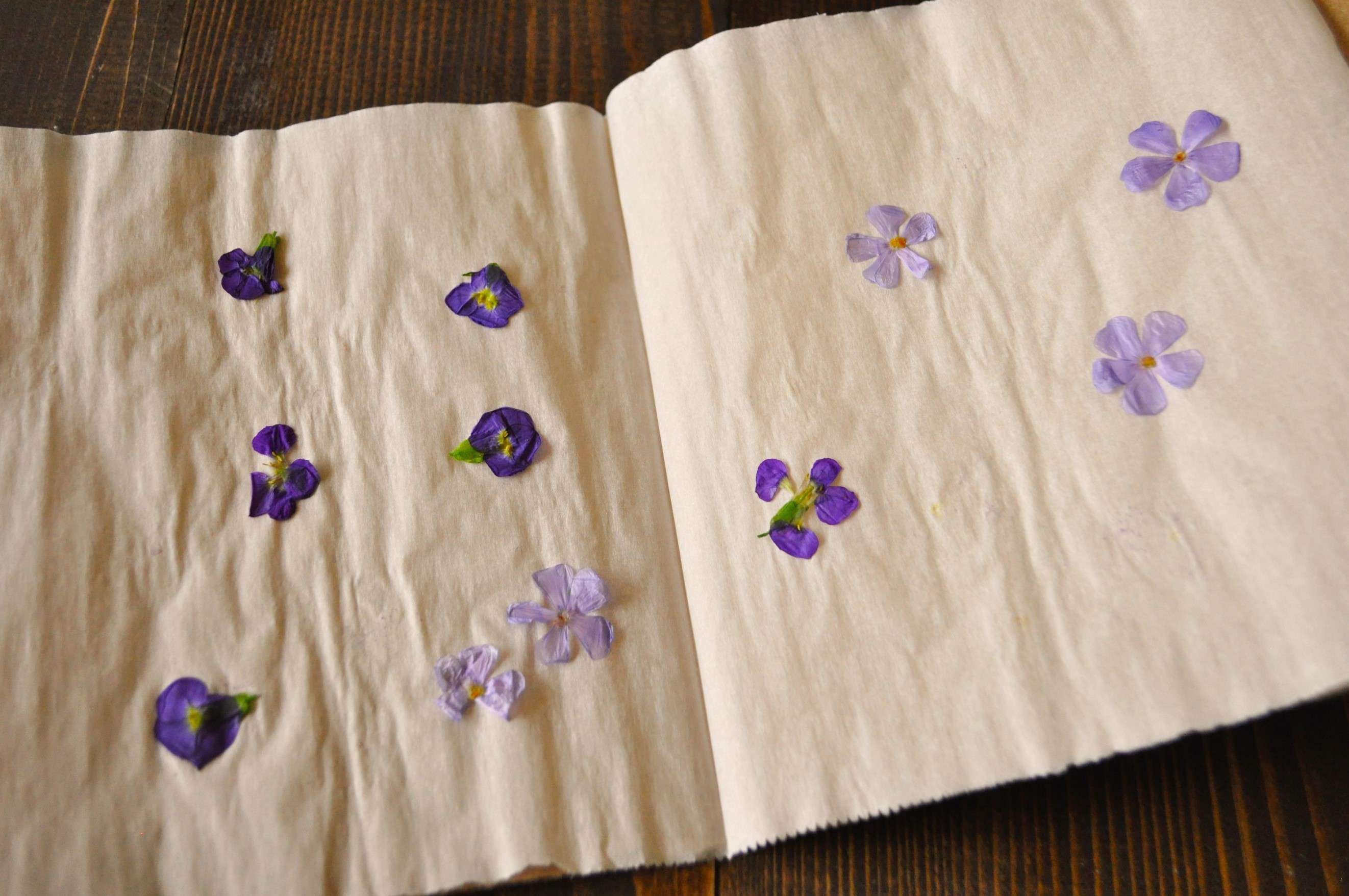 5 Pressed Flower Candle