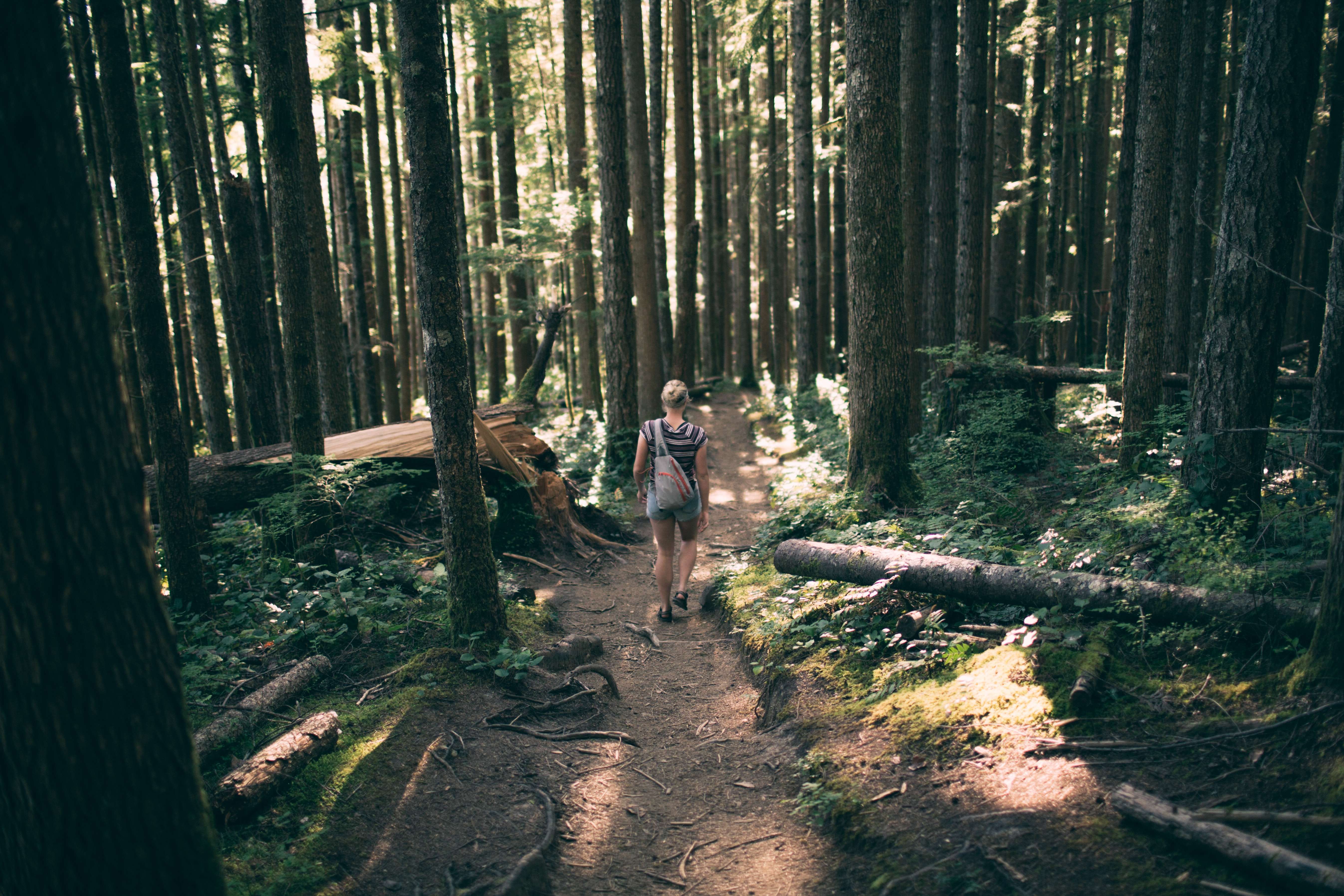 garrett-parker-2jyxADdd2t4-unsplash